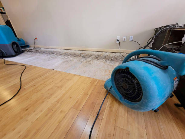 Professional Water Damage Repair technician working in Grammer, IN